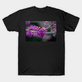 Callicarpa bodinieri T-Shirt